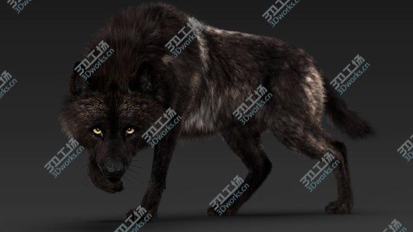 images/goods_img/20210312/Black Timber Wolf (Fur) Rigged model/1.jpg